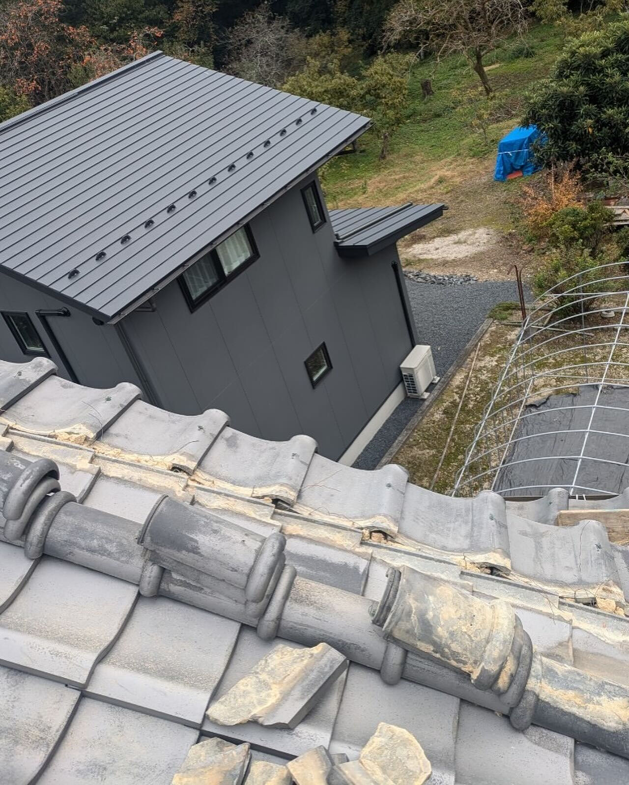 まかさのもう12月😱